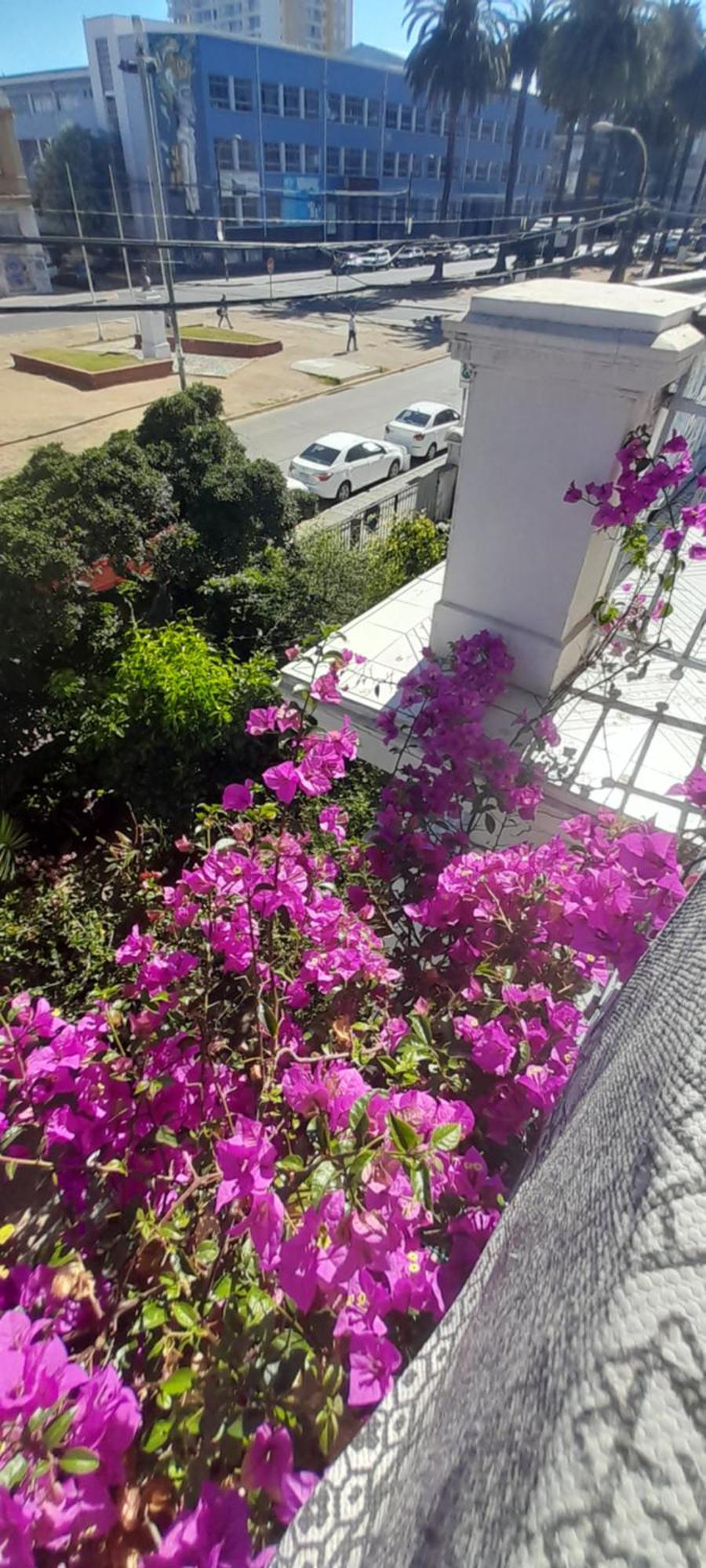 Blanca Rosa Valparaiso B&B מראה חיצוני תמונה